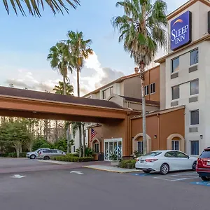 Sleep Near Busch Gardens - Usf Temple Terrace